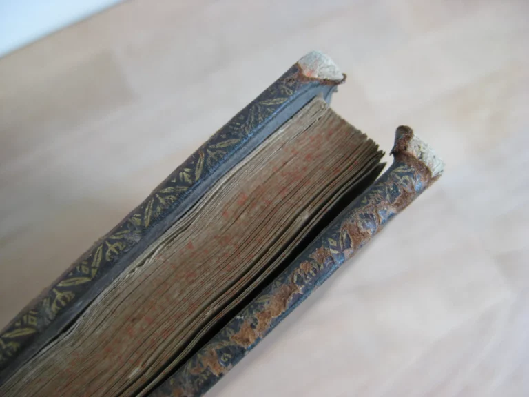 Ludovico Magno panegyricus - Joh. Antonio Mediobarbo Ludovico Magno panegyricus - Joh. Antonio Mediobarbo