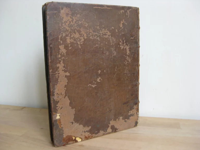 Ludovico Magno panegyricus - Joh. Antonio Mediobarbo Ludovico Magno panegyricus - Joh. Antonio Mediobarbo