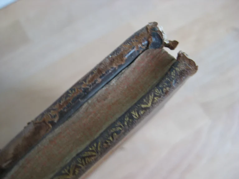 Ludovico Magno panegyricus - Joh. Antonio Mediobarbo Ludovico Magno panegyricus - Joh. Antonio Mediobarbo