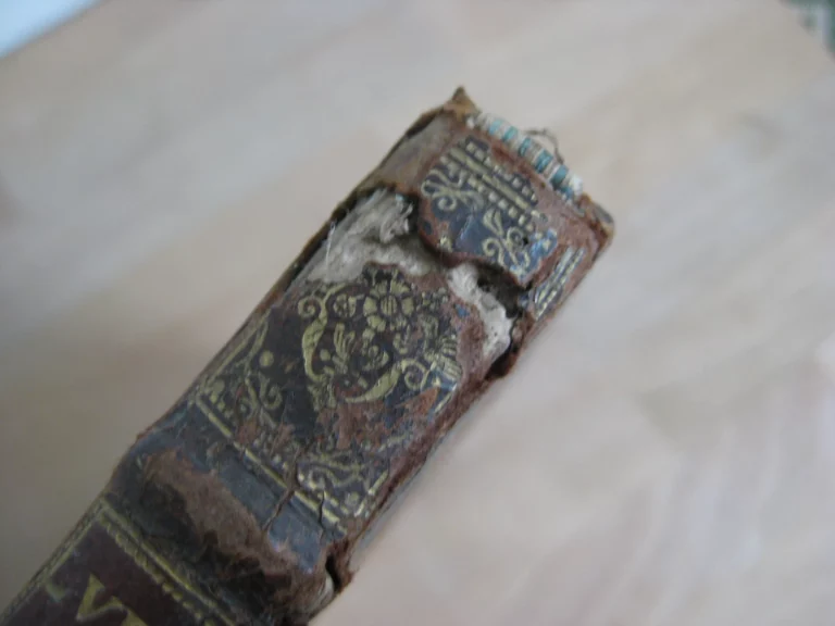 Ludovico Magno panegyricus - Joh. Antonio Mediobarbo Ludovico Magno panegyricus - Joh. Antonio Mediobarbo