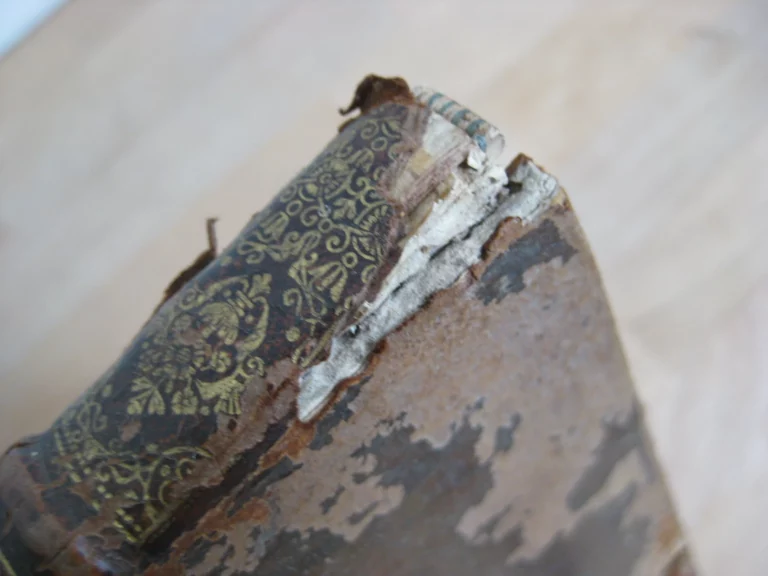 Ludovico Magno panegyricus - Joh. Antonio Mediobarbo Ludovico Magno panegyricus - Joh. Antonio Mediobarbo