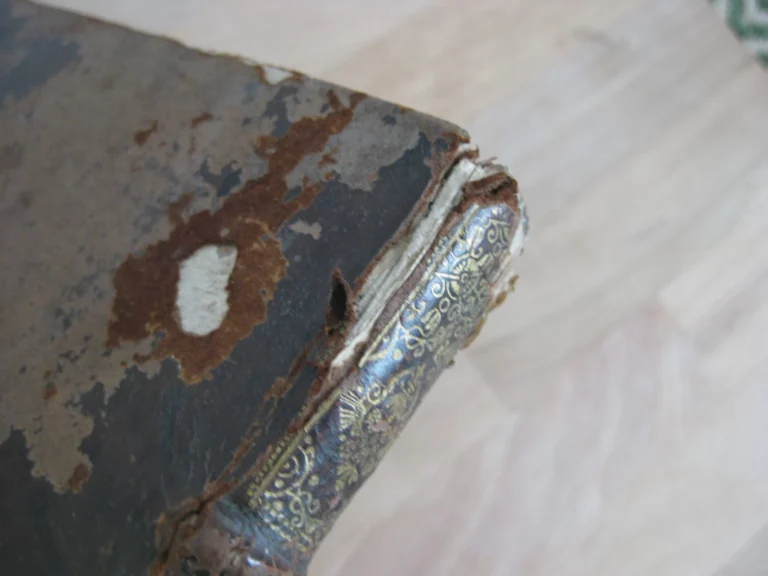 Ludovico Magno panegyricus - Joh. Antonio Mediobarbo Ludovico Magno panegyricus - Joh. Antonio Mediobarbo