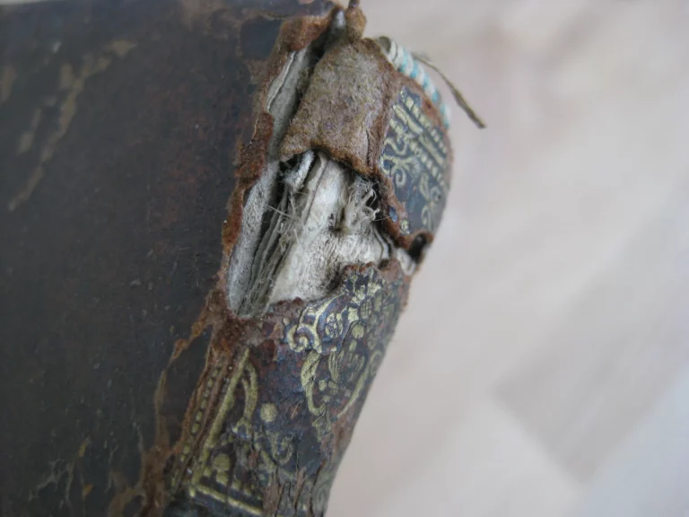 Ludovico Magno panegyricus - Joh. Antonio Mediobarbo Ludovico Magno panegyricus - Joh. Antonio Mediobarbo