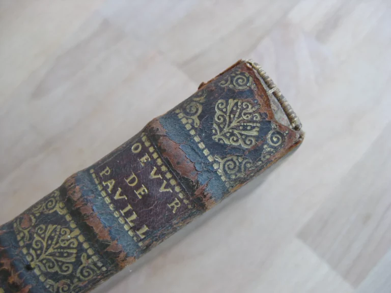 Oeuvres de M. Pavillon de l'Académie françoise‎.