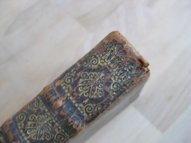 Oeuvres de M. Pavillon de l'Académie françoise‎.