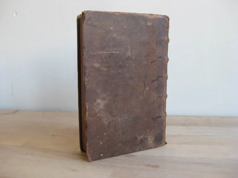 Oeuvres de M. Pavillon de l'Académie françoise‎.