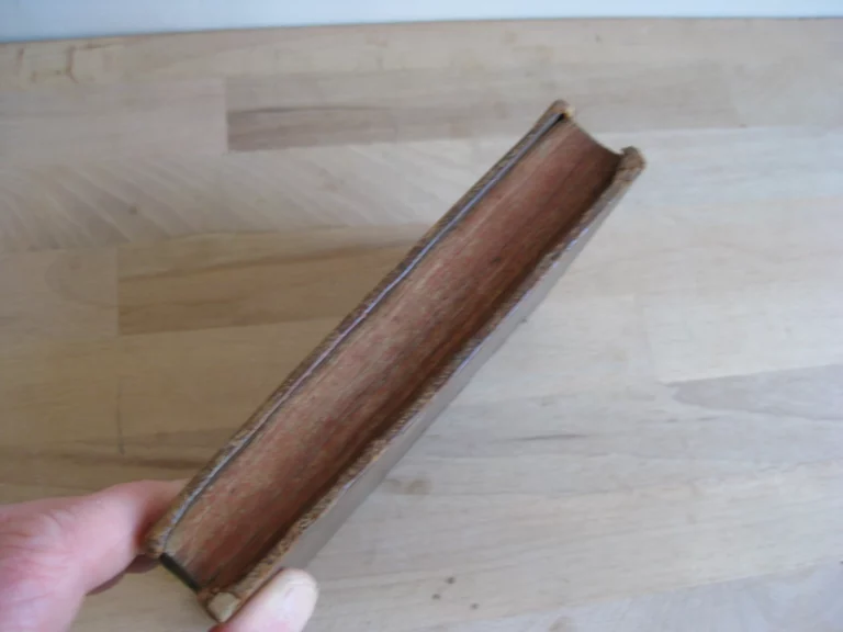 Oeuvres de M. Pavillon de l'Académie françoise‎.