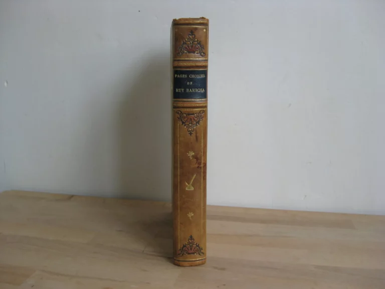 Pages choisies de Ruy Barbosa. Écrivain, orateur, homme d’état brésilien