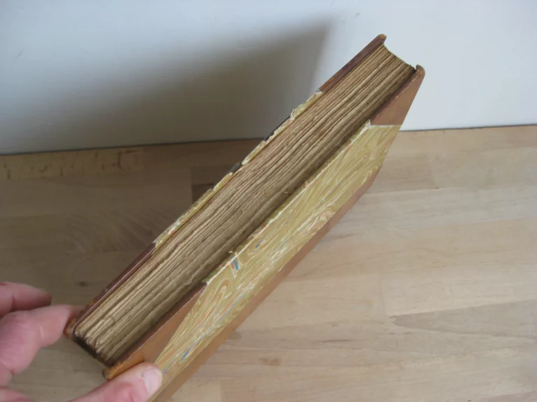 Pages choisies de Ruy Barbosa. Écrivain, orateur, homme d’état brésilien