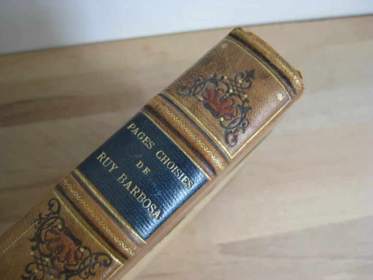 Pages choisies de Ruy Barbosa. Écrivain, orateur, homme d’état brésilien