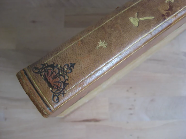 Pages choisies de Ruy Barbosa. Écrivain, orateur, homme d’état brésilien