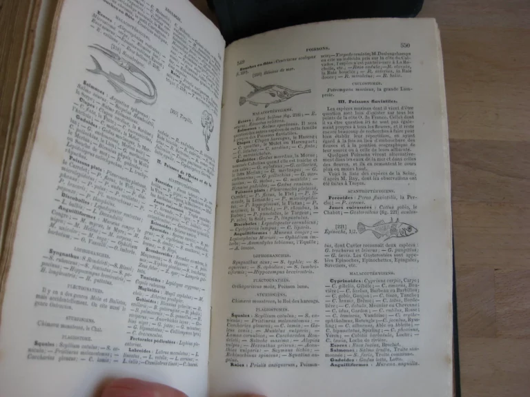 Patria, 1ère et 2ème parties Patria, 1ère et 2ème parties