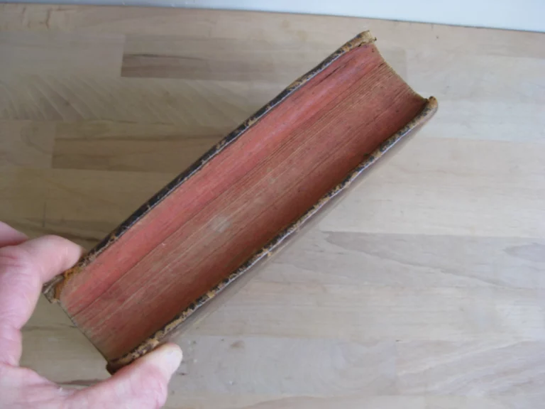 Allgemeine Kirchen- und Weltgeschichte von der Schöpfung an biß auf unsre Zeiten