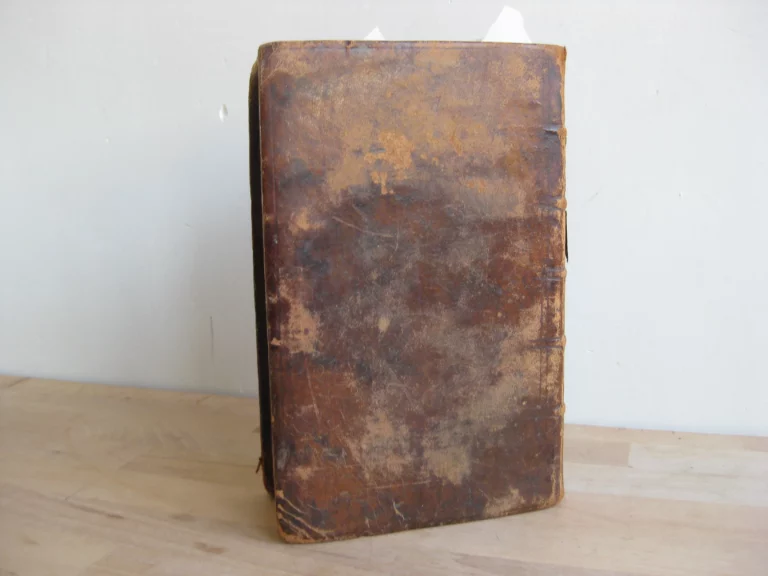 Allgemeine Kirchen- und Weltgeschichte von der Schöpfung an biß auf unsre Zeiten