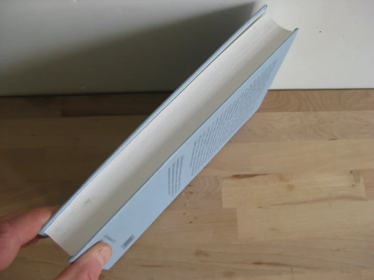 Filiation, origine, fantasme : Les voies de l'individuation dans Monsieur Nicolas ou le cœur humain dévoilé de Rétif de la Bretonne Filiation, origine, fantasme : Les voies de l'individuation dans Monsieur Nicolas ou le cœur humain dévoilé de Rétif de la Bretonne