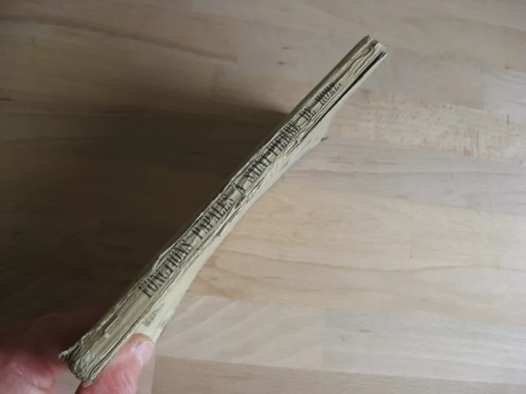 Fonctions papales à Saint-Pierre de Rome pendant la semaine sainte