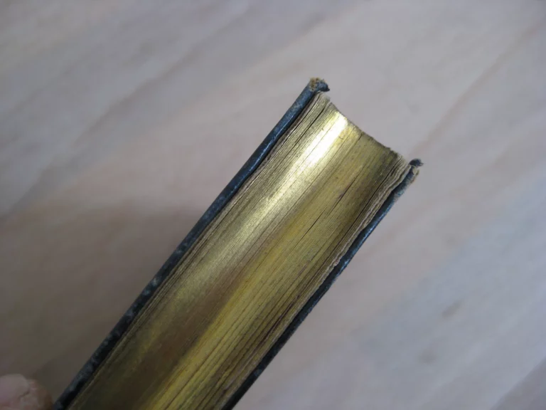 Imitation de la très sainte Vierge sur le modèle de l’imitation de Jésus-Christ.