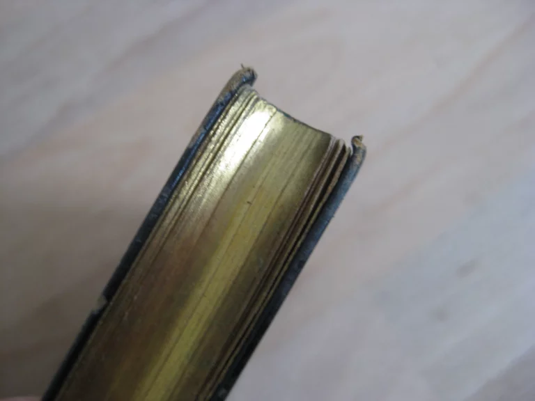 Imitation de la très sainte Vierge sur le modèle de l’imitation de Jésus-Christ.