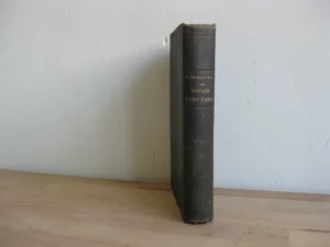 Impressions de voyage dans Paris ancien et moderne