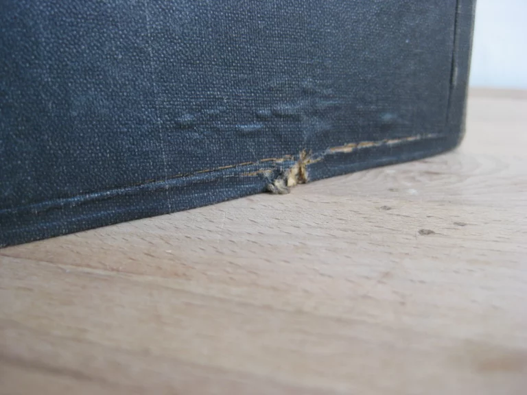 Impressions de voyage dans Paris ancien et moderne Impressions de voyage dans Paris ancien et moderne