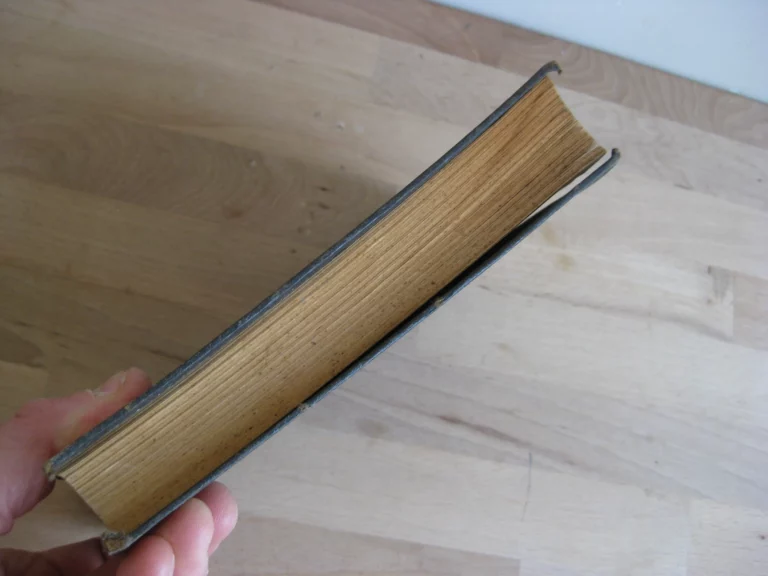 Impressions de voyage dans Paris ancien et moderne Impressions de voyage dans Paris ancien et moderne