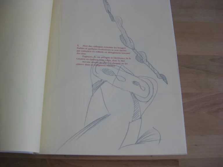 La disquette de Tuchan - Daniel Dezeuze