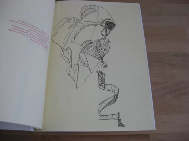 La disquette de Tuchan - Daniel Dezeuze