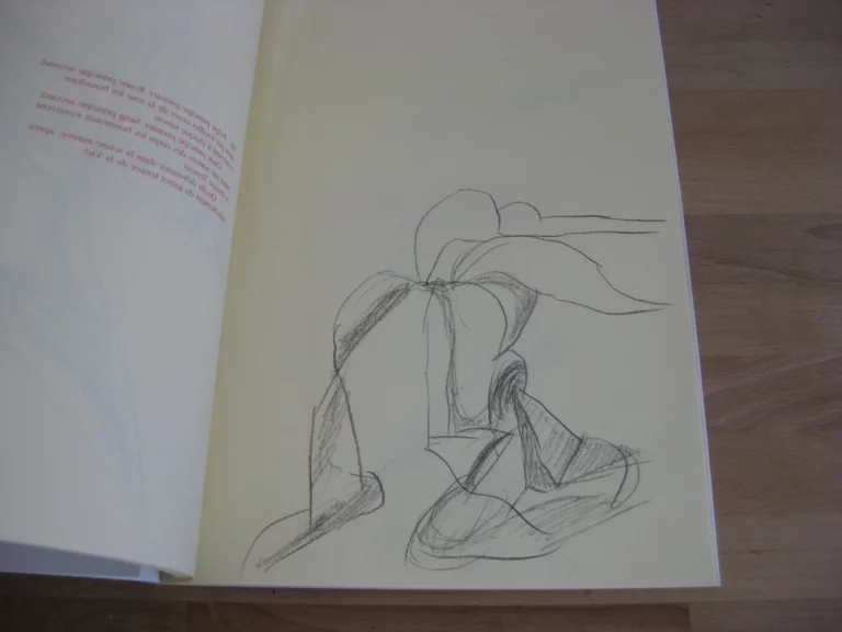 La disquette de Tuchan - Daniel Dezeuze