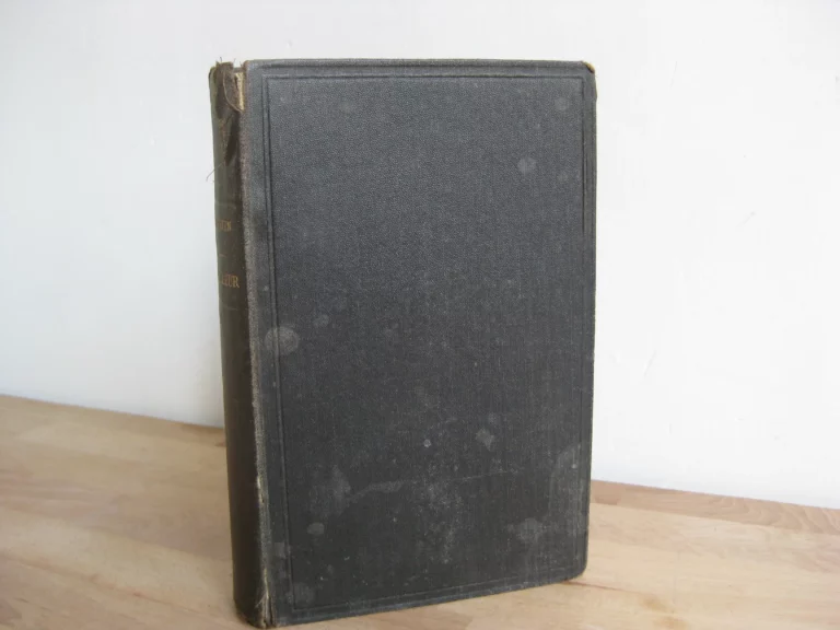 Le voleur - Georges Darien Le voleur - Georges Darien