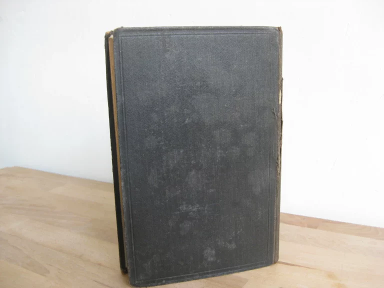 Le voleur - Georges Darien Le voleur - Georges Darien