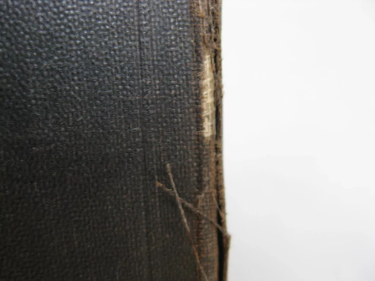 Le voleur - Georges Darien Le voleur - Georges Darien