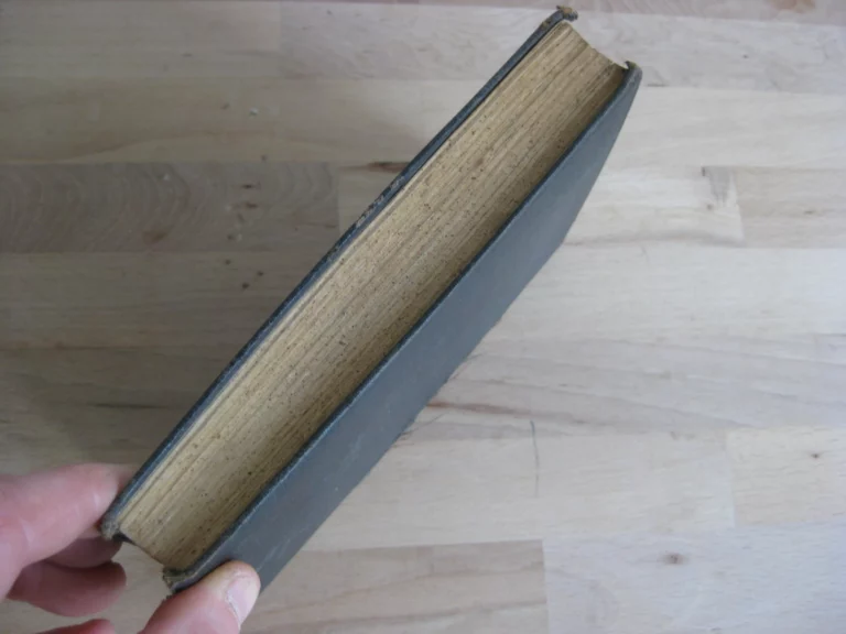 Le voleur - Georges Darien Le voleur - Georges Darien