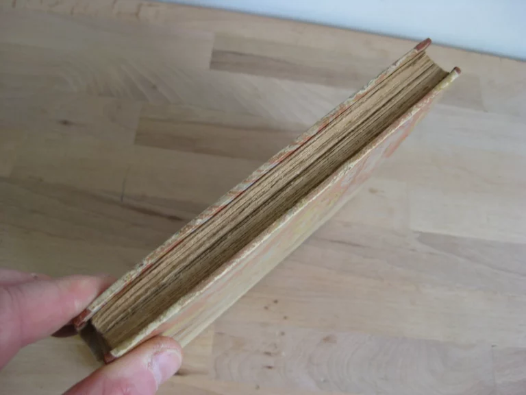 L'Empereur Nicolas II Aux Manœuvres Françaises de 1901