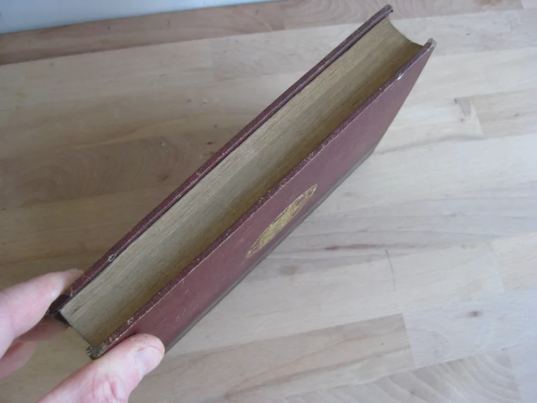 Les inconvénients du célibat des prêtres - Abbé Gaudin Les inconvénients du célibat des prêtres - Abbé Gaudin