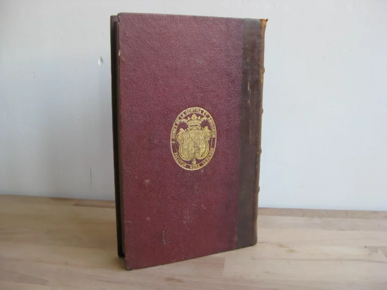 Les inconvénients du célibat des prêtres - Abbé Gaudin Les inconvénients du célibat des prêtres - Abbé Gaudin