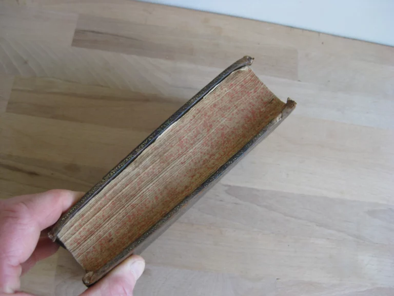 Les Instructions du Rituel du Diocèse d'Alet. Quatrième édition. Les Instructions du Rituel du Diocèse d'Alet. Quatrième édition.