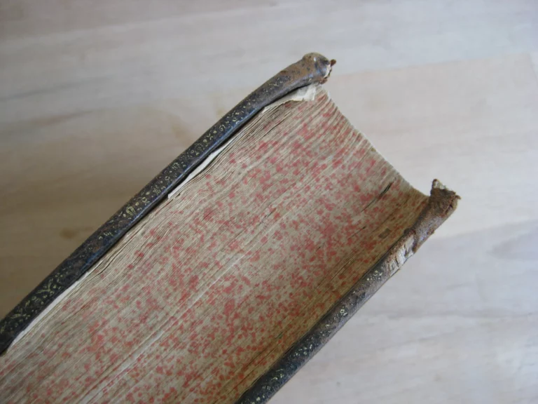 Les Instructions du Rituel du Diocèse d'Alet. Quatrième édition. Les Instructions du Rituel du Diocèse d'Alet. Quatrième édition.