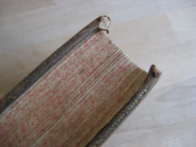 Les Instructions du Rituel du Diocèse d'Alet. Quatrième édition. Les Instructions du Rituel du Diocèse d'Alet. Quatrième édition.