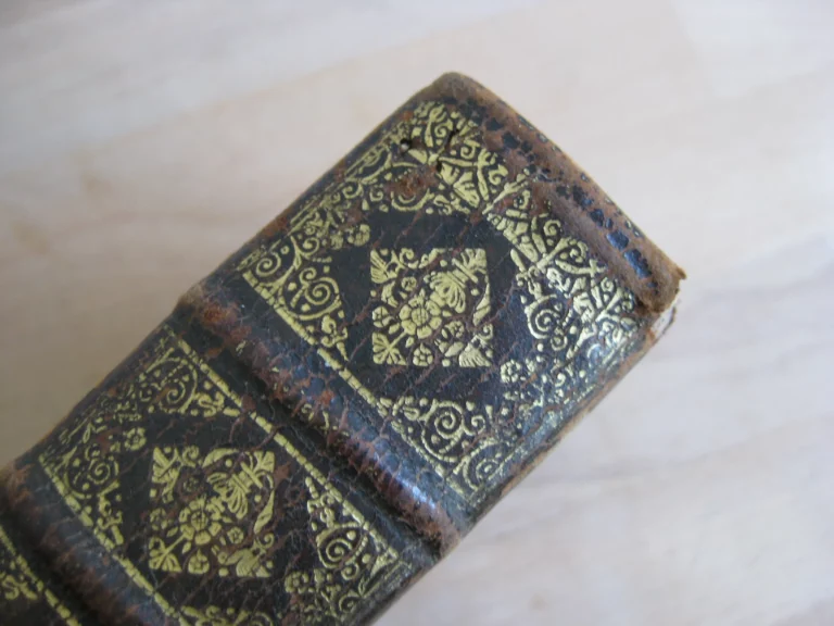 Les Instructions du Rituel du Diocèse d'Alet. Quatrième édition. Les Instructions du Rituel du Diocèse d'Alet. Quatrième édition.