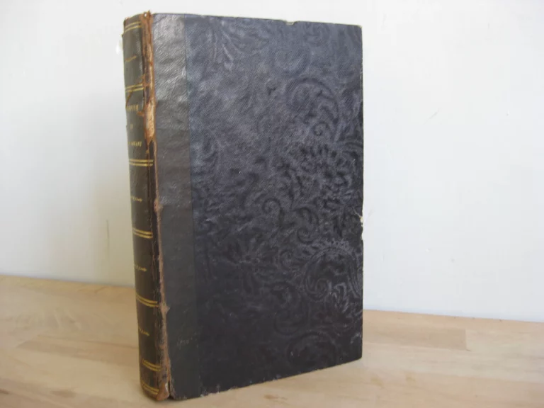 Parodie du juif errant. Complainte constitutionnelle en dix parties Parodie du juif errant. Complainte constitutionnelle en dix parties