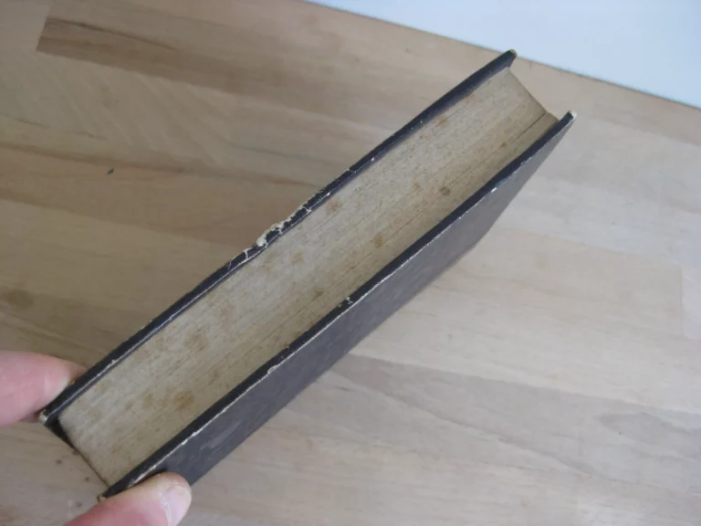 Parodie du juif errant. Complainte constitutionnelle en dix parties Parodie du juif errant. Complainte constitutionnelle en dix parties