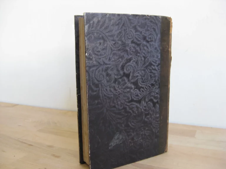 Parodie du juif errant. Complainte constitutionnelle en dix parties Parodie du juif errant. Complainte constitutionnelle en dix parties