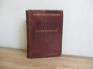 Plantations d'alignement, promenades, parcs et jardins publics 