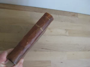 Plantations d'alignement, promenades, parcs et jardins publics Plantations d'alignement, promenades, parcs et jardins publics