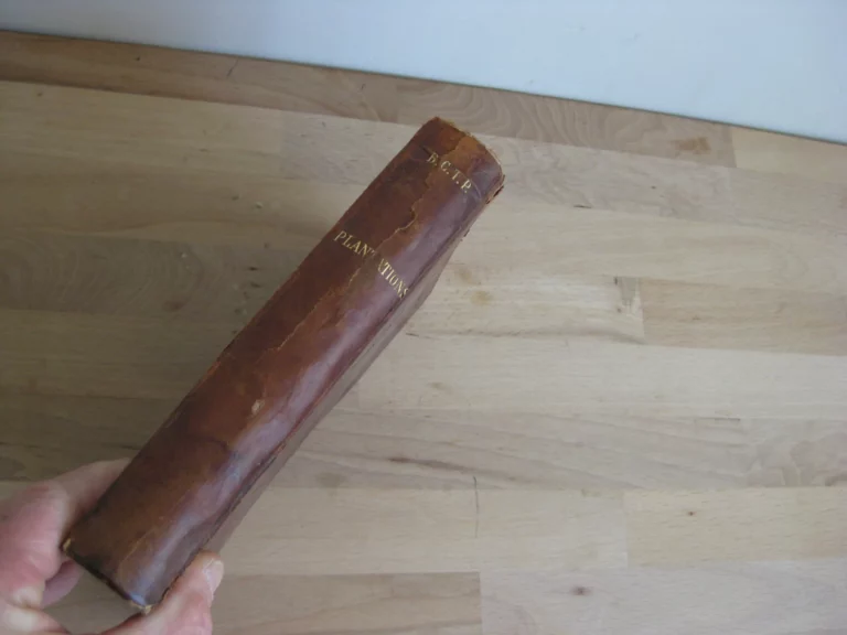 Plantations d'alignement, promenades, parcs et jardins publics Plantations d'alignement, promenades, parcs et jardins publics