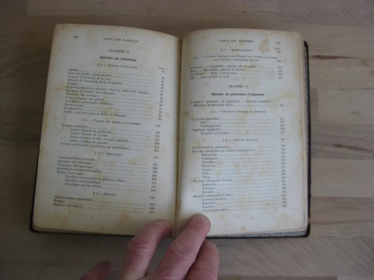 Plantations d'alignement, promenades, parcs et jardins publics Plantations d'alignement, promenades, parcs et jardins publics