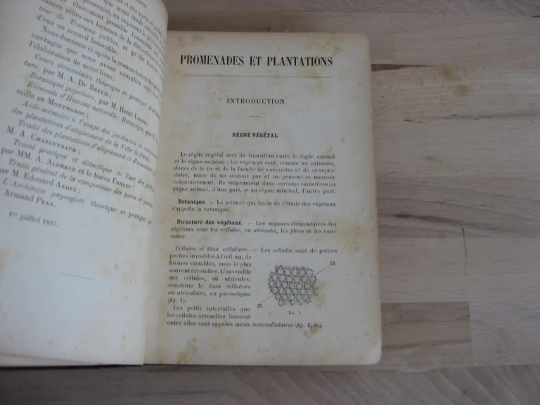 Plantations d'alignement, promenades, parcs et jardins publics Plantations d'alignement, promenades, parcs et jardins publics