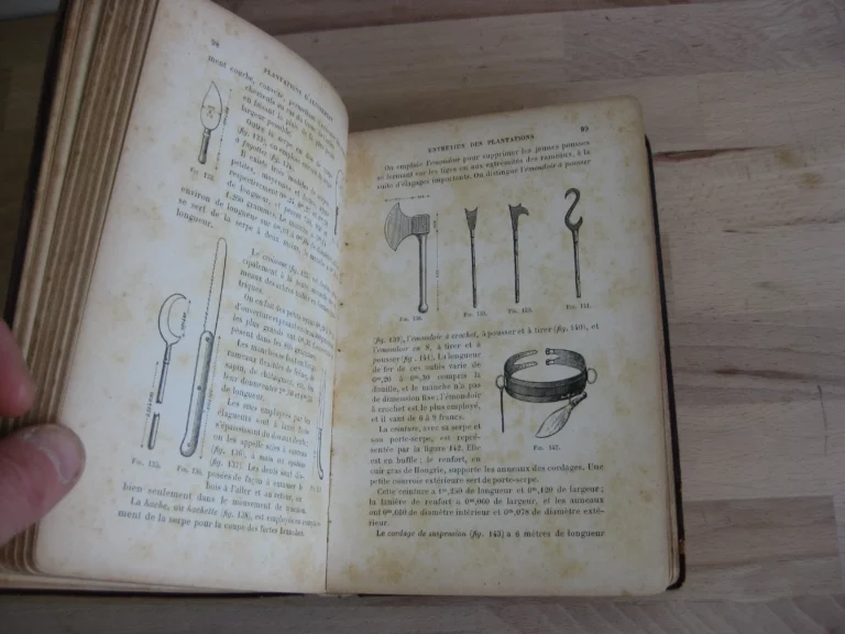 Plantations d'alignement, promenades, parcs et jardins publics Plantations d'alignement, promenades, parcs et jardins publics