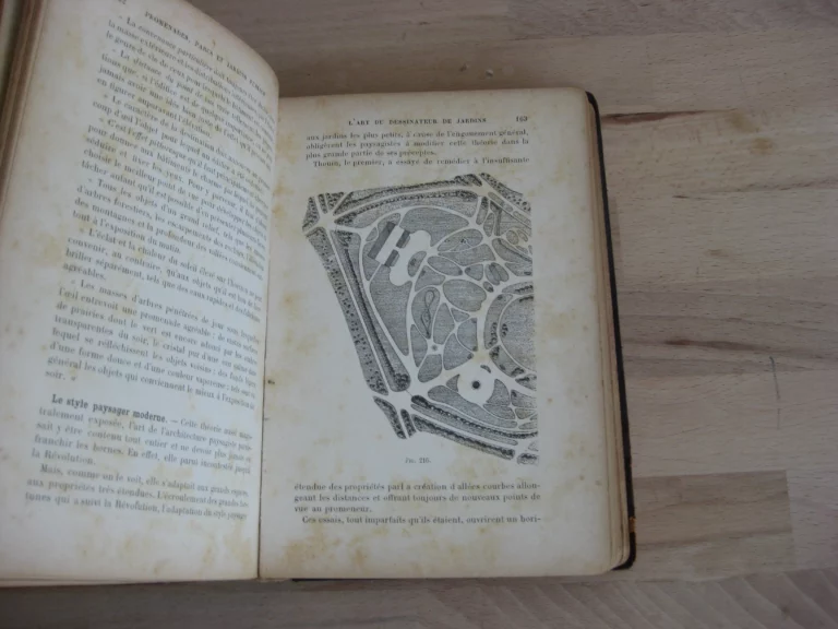 Plantations d'alignement, promenades, parcs et jardins publics Plantations d'alignement, promenades, parcs et jardins publics