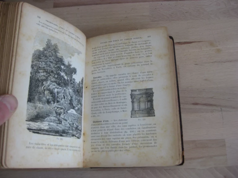 Plantations d'alignement, promenades, parcs et jardins publics Plantations d'alignement, promenades, parcs et jardins publics